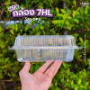 HTP กล่องOPS 7HL 50ชิ้น