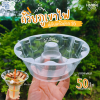 HB ถ้วยภูเขาไฟ 500ml 50ใบ