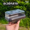 EX กล่องอเวย์กลาง ฐานน้ำตาล 50ชุด