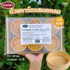 Giverny ถ้วยทาร์ตรสเนย กลม 80mm 420g (12ชิ้น)