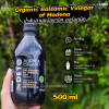 Deto Andrea Milano Balsamic Vinegar 500ml