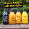 Deto Andrea Milano Apple Cider Vinegar Ginger & Turmeric 500ml