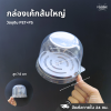 Excel กล่องเค้กส้มใหญ่ ฐานน้ำตาล + ฝาใส 50ชุด