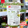 อโรม่า มัทฉะ กรีนที เบส 100g