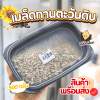 เมล็ดทานตะวัน 500g