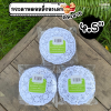 Big MK กระดาษดอลลี่ 4.5"