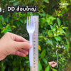 DD ส้อมใหญ่ ขาว 100ชิ้น