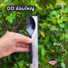 DD ช้อนใหญ่ ดำ 100ชิ้น