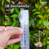 SB ช้อนไอติม ใส 50ชิ้น