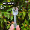SB ช้อนพายใส 100ชิ้น