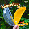 ถ้วยมูสเค้กรูปกล้วย+ฝา 25ชุด