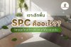 เจาะลึกพื้น SPC คืออะไร? วัสดุยุคใหม่ที่กำลังแทนที่พื้นแบบเดิม เจาะลึกพื้น SPC คืออะไร? วัสดุยุคใหม่ที่กำลังแทนที่พื้นแบบเดิม