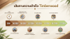 ก่อนที่จะเกิดเป็น Timberwood ผู้ก่อตั้งได้คลุกคลีอยู่กับธุรกิจจำหน่ายไม้และวัสดุก่อสร้าง ทำให้ได้พบกับลูกค้าที่มีความต้องการหลากหลาย ตั้งแต่เจ้าของบ้าน ผู้รับเหมา ช่าง ไปจนถึงผู้ที่ต้องการเลือกวัสดุสำหรับงานตกแต่งและก่อสร้าง