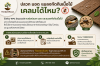 ปลวก มอด แมลงกัดกินเนื้อไม้ — เคลมได้ไหม? ไม้เทียม WPC มีคุณสมบัติทนต่อปลวก มอด และแมลงกัดกินเนื้อไม้ เพราะเนื้อวัสดุเป็นส่วนผสมของผงไม้กับพลาสติกโพลิเมอร์ ซึ่งไม่ใช่อาหารของปลวกเหมือนไม้ธรรมชาติ จึงช่วยลดปัญหาไม้ผุ ไม้กร่อน และรูมอดที่มักเกิดกับไม้จริง