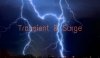 Transient & Surge Transient & Surge