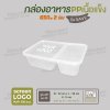 กล่องอาหารเนื้อ PP เนื้อแข็ง 2 ช่อง 650ml รุ่นประหยัด -สีใส