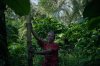 TANPA HULU, TAK ADA HILIR TANPA HULU, TAK ADA HILIR