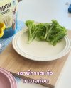 หมี่ไก่ฉีกน้องหมา