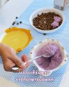 ขนมสุนัขโฮมเมด