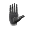 OmniHand Pro 2025