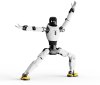 AGIBOT X2