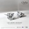 ต่างหูเพชรทรงกลมเม็ดเดี่ยว Classic Round Brilliant Stud Earrings