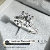 แหวนเพชรเม็ดเดี่ยว Classic Cathedral Diamond Ring