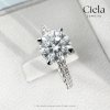 แหวนเพชรเม็ดเดี่ยว Fine Cathedral Pave Diamond Ring