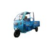 3ล้อไฟฟ้าบรรทุก OM-316P