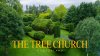 The Tree Church โบสถ์ที่ทำจากต้นไม้ ในเมือง Ohaupo The Tree Church โบสถ์ที่ทำจากต้นไม้ ในเมือง Ohaupo