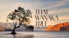That Wanaka Tree ต้นไม้ที่เหงาที่สุดในโลก That Wanaka Tree ต้นไม้ที่เหงาที่สุดในโลก