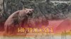 Hutiao Xia (Tiger Leaping Gorge) ช่องเขาเสือกระโจน มหากาพย์ความดุดันของสายน้ำ และหุบเขาที่ลึกที่สุดในโลก Hutiao Xia (Tiger Leaping Gorge) ช่องเขาเสือกระโจน มหากาพย์ความดุดันของสายน้ำ และหุบเขาที่ลึกที่สุดในโลก