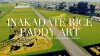 Inakadate Rice Paddy Art มหัศจรรย์ศิลปะบนผืนนา