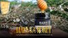 "น้ำผึ้งมานูก้า" (Manuka Honey) น้ำผึ้งชนิดนี้มีอะไรดี? ทำไมถึงมีราคาสูงกว่าน้ำผึ้งทั่วไปหลายเท่าตัว
