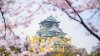 ปราสาทฮิโรซากิ (Hirosaki Castle) ในวันที่อาโอโมริกลายเป็นสีชมพู ปราสาทฮิโรซากิ (Hirosaki Castle) ในวันที่อาโอโมริกลายเป็นสีชมพู
