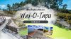 พิกัดน้ำพุร้อนสีนีออน! Wai-O-Tapu นิวซีแลนด์