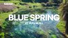 Blue Spring at Putaruru  น้ำที่ใสที่สุดจนเหมือนไม่มีอยู่จริง