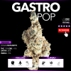 Gastro Pop (In-door)