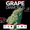 Grape Diamonds (Top Shelf)