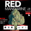 Red Mandarine F1 (Top Shelf)