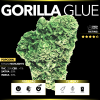 Gorilla Glue (Popcorn)