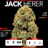 Jack Herer (Top Shelf)