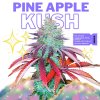 Pineapple Kush Top Shelf