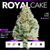 Royal Cake (In-door)