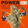 Power Flower Top Shelf