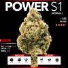 Power S1 [N] (Top Shelf)