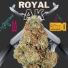 Royal AK Top Shelf