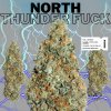 North Thunderfuck (Top Shelf)