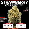 Straw Berry Cola Sherbet F1 (Top Shelf)