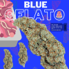 Blue Gelato Top Shelf